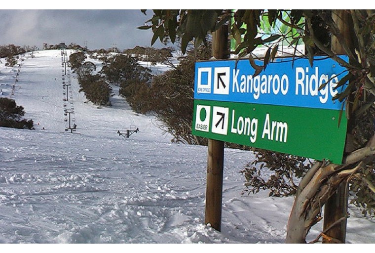 kangarooridge 800x500